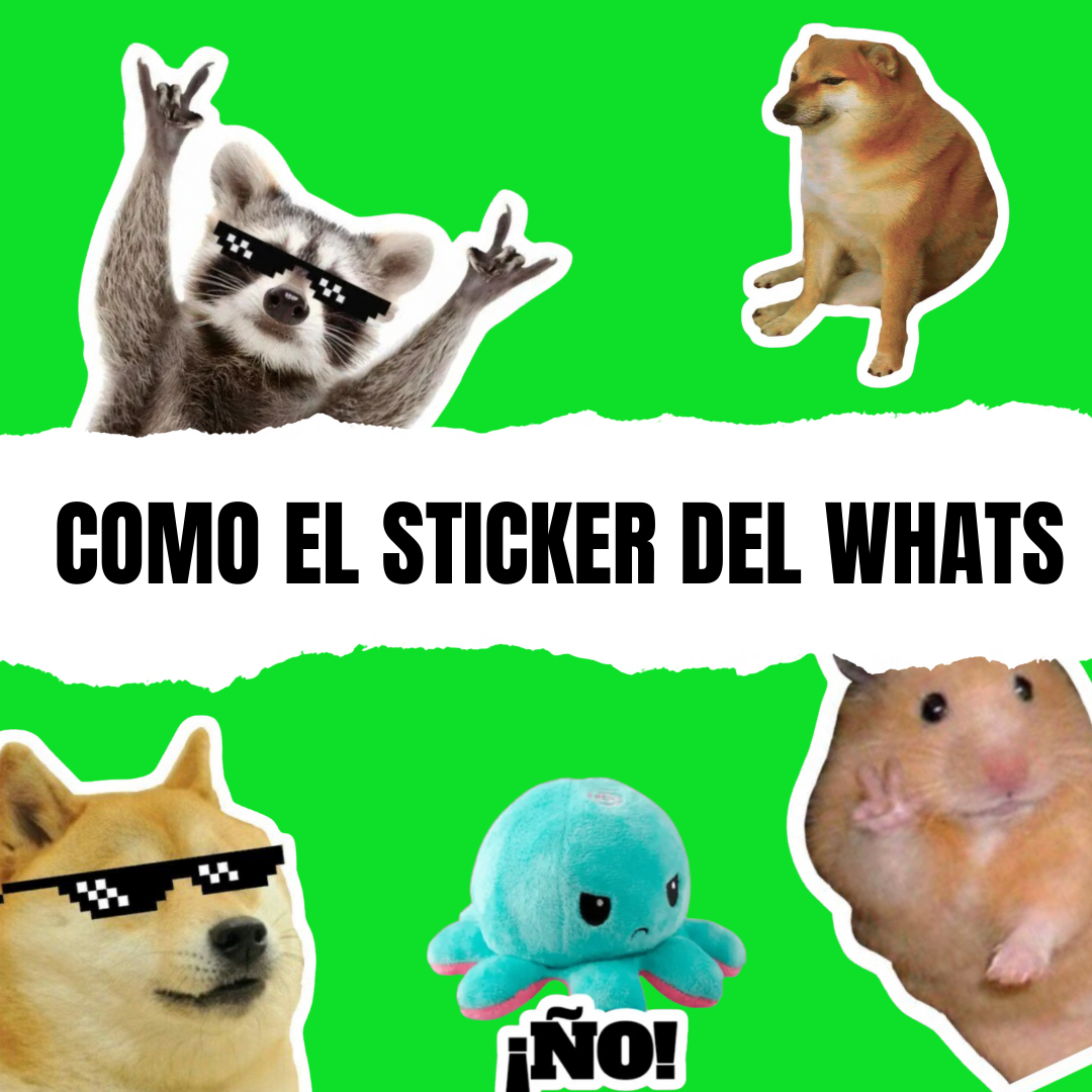 Como el sticker del whats