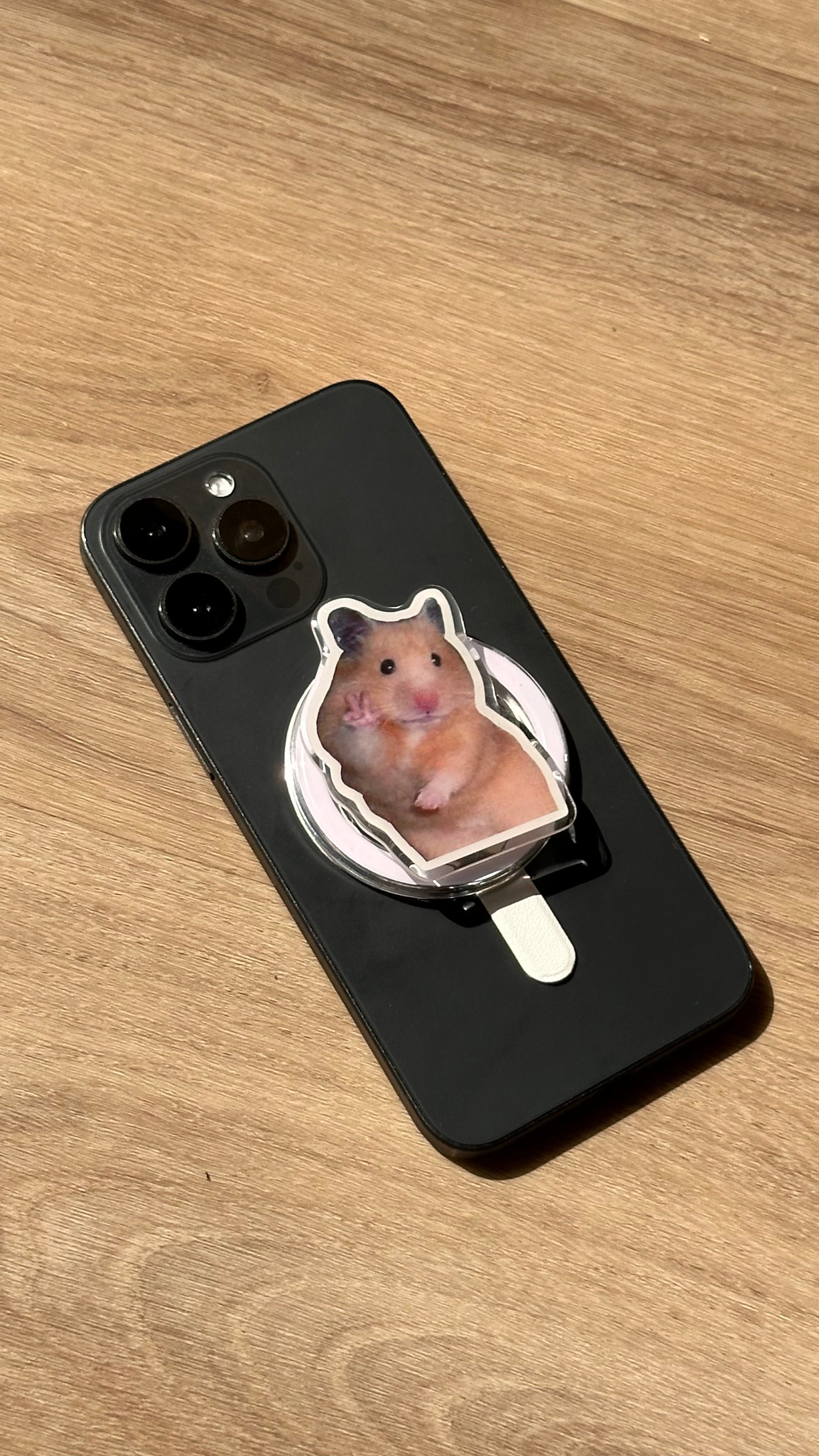 Holi Hamster Sticker Magpop